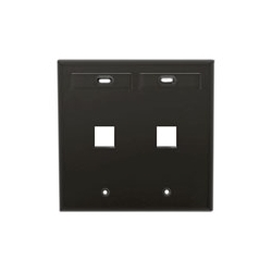 Wall Plate, 2-Port Double-Gang, With ID Windows, Black