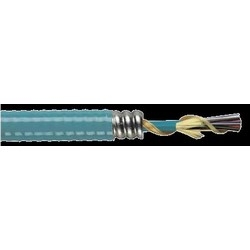 Fiber Optic Cable, Interlock Armored Plenum, 24-Fiber, 0.61&quot; Diameter, Flame Retardant Jacket, Indoor