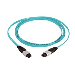 MPO*-MPO* Interconnect Cable Assembly 30m 10 GbE 50µm