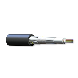 FREEDM Ribbon, Gel-Filled Cable, Riser, 48 fiber, Single-mode (OS2)