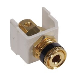 Audio video connector, speaker post, gold, black ring, office white