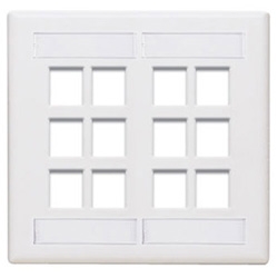 QuickPort Wallplate with ID Window, Dual Gang, 12-Port, White