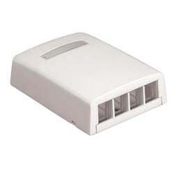 NK 4-Port Surface Mount Box, Electric Ivory